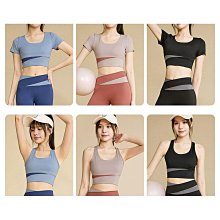 【締造】專業帶筋帶稜雙凹槽古箏指甲 義甲 成人 大中小號 歷史價格詳細信息