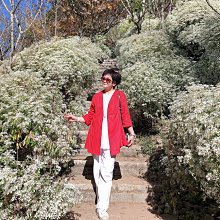 (老銀屋)設計師原創/歐美文藝大珍珠釦金屬別針/胸針 歷史價格詳細信息