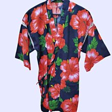 全新日影《扶桑花女孩》DVD (豪華3碟版)蒼井優(花與愛麗絲)【情書】豐川悅司 松雪泰子 歷史價格詳細信息