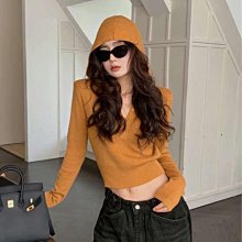 連帽外套 社恐外套 社恐帽t 紅色美式連帽大學T女秋冬2024新款爆款設計感小眾寬鬆長袖上衣外套 歷史價格詳細信息