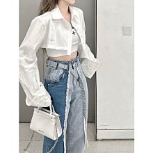 2024早秋新品~戈雅 goyard mini托特包*附購證 歷史價格詳細信息