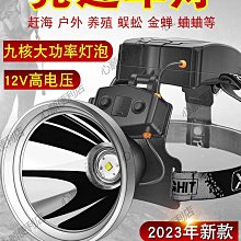 LED強光頭燈充電超亮頭戴式氙氣燈超長續航大功率電筒戶外夜釣燈-心願便利店 歷史價格詳細信息