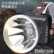 強盛排球網 戶外可攜式PE無節聚乙烯加粗標準排球網 氣排球網 沙 歷史價格詳細信息