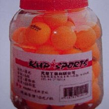 *無敵隊長*購物網 ~限時搶購沙包袋(大)83*27 cm 歷史價格詳細信息