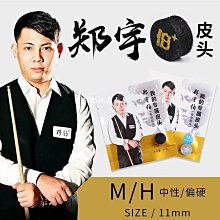 【現貨】鄭陽碳纖維黑骨系列 真皮雕刻桿筒黑八九球大頭 撞球桿桶 歷史價格詳細信息