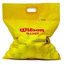 WILSON 單顆裝籃球網袋, OS 歷史價格詳細信息