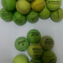 二手網球:Wilson原廠無壓練習球/訓練用球(彈性佳,不挑便宜賣) 歷史價格詳細信息