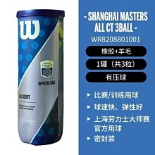 網球 Wilson威爾勝 網球 威爾遜訓練球 無壓練習球WRT13600 歷史價格詳細信息