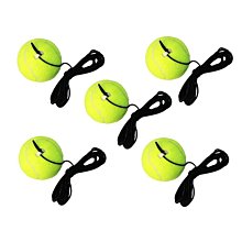 博卡羽毛球網架可攜式標準網家用室外網柱簡易摺疊移動攔網球架子 歷史價格詳細信息