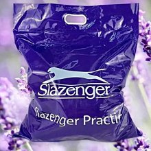 Slazenger成人兒童專業女士三角連體遊泳衣訓練比賽泳裝露背鏤空 歷史價格詳細信息