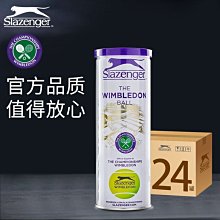 Slazenger成人兒童專業女士三角連體遊泳衣訓練比賽泳裝露背鏤空 歷史價格詳細信息