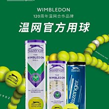 Slazenger成人兒童專業女士三角連體遊泳衣訓練比賽泳裝露背鏤空 歷史價格詳細信息