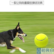 網球充氣網球大網球5-9.5英寸網球廠家直銷LOGO 歷史價格詳細信息