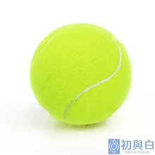 訓練網球線繩子自練網球繩高彈力4米6米選迷幾單人網球專用橡皮筋~特價 歷史價格詳細信息