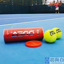 球學︰哈佛跑鋒何凱成翻轉教育[二手書_良好]8470 TAAZE讀冊生活 歷史價格詳細信息