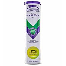 Slazenger成人兒童專業女士三角連體遊泳衣訓練比賽泳裝露背鏤空 歷史價格詳細信息