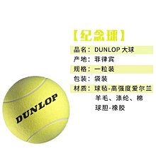 鄧祿普Dunlop網球ATPTOUR鐵罐筒裝澳網AO比賽運動訓練球3/4粒裝~特價 歷史價格詳細信息
