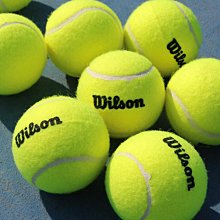 Wilson威爾勝官方網球配件吸汗加厚柔軟專業網球運動毛巾運動裝備 歷史價格詳細信息