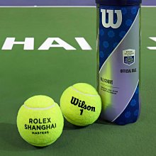 Wilson威爾勝官方網球配件吸汗加厚柔軟專業網球運動毛巾運動裝備 歷史價格詳細信息