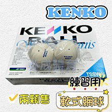 【綠色大地】JUGS 棒壘球拋球機 不含球 Toss Machine 攜帶式 棒壘球發球機 BRETT 配合核銷 歷史價格詳細信息