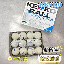 【綠色大地】KENKO 軟式網球 軟網球 TSOW 日本製 2顆販售 日本進口 軟式網球 比賽球 比賽用軟式網球 歷史價格詳細信息