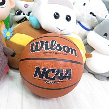 【isport】小籃球組 體適能 教具 教學玩具 幼稚園認知 學習 益智玩具 歷史價格詳細信息