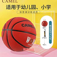 5號籃球園專用小馬寶莉3-4號小學生體能訓練專用正品皮球 歷史價格詳細信息