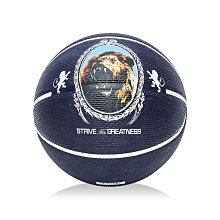 NIKE LEBRON PLAYGROUND 4P 7號籃球 BASKETBALL系列 N0002784 【樂買網】 歷史價格詳細信息