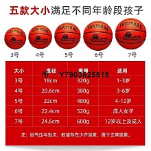 籃球園5號7號五號4號6小學生3專用專業訓練正品藍球 歷史價格詳細信息