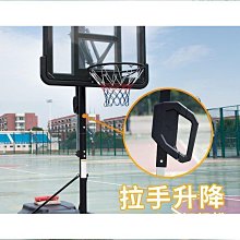 籃球框成人戶外籃球架家用訓練比賽標準藍球架落地式室外成年移動籃球架 歷史價格詳細信息