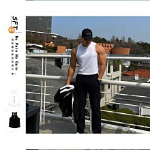 健身背心男 色無袖上 純棉吊嘎 色 圓領 大尺碼 透氣親膚 吸汗速乾 籃球 居家 重訓 慢跑 歷史價格詳細信息