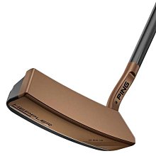 (易達高爾夫) 原廠公司貨 2022 TAYLORMADE Spider GT Red Single Vent 推桿 歷史價格詳細信息