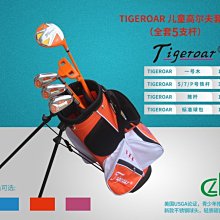 現貨熱銷-高爾夫球桿 全套 honma紅馬U100男士套桿碳素桿初中級別球桿正品 (null) 歷史價格詳細信息