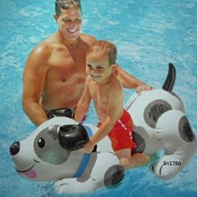 INTEX57524成人兒童海龜座騎 小孩水上充氣玩具遊泳泳具 浮床浮排 歷史價格詳細信息