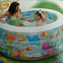 玩樂生活 美國品牌 INTEX56452  海洋公園硬膠游泳池/戲水池/蓄水池 183cm*38cm(附修補片) 歷史價格詳細信息