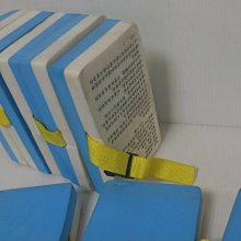 TreeWalker 攜加大款雙側開摺疊鋼網桌(兩段高度可調) 歷史價格詳細信息