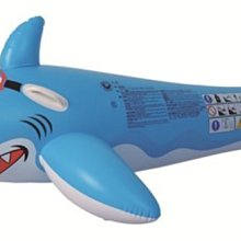 Tree Walker 鯊魚造型趴浮板 歷史價格詳細信息