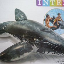 座頭鯨赫連麼麼 小說x繪本 歷史價格詳細信息