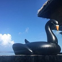 游泳圈 充氣救生圈-彩色創意冰淇淋大型水上活動坐騎浮板73ez11[獨家進口][米蘭精品] 歷史價格詳細信息