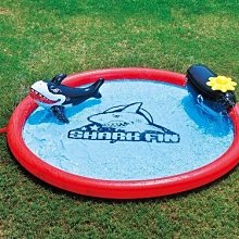 Tree Walker 鯊魚造型趴浮板 歷史價格詳細信息