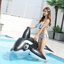 泳具供應 不帶把黃鴨艇 嬰幼兒泳坐圈 游泳圈小黃鴨座圈 歷史價格詳細信息