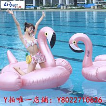 游泳圈水上樂園充氣海豚坐騎成人沖氣鯨魚浮排大人沖浪大鯊魚游泳圈玩具救生圈 歷史價格詳細信息