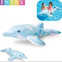 INTEX 小花海豚座騎175x66cm 適3歲+ (58535NP) 歷史價格詳細信息
