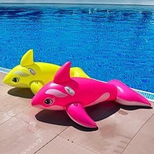 水上漂浮玩具游泳圈沖浪板漂浮神器泳池樂園玩水充氣艇充氣墊 歷史價格詳細信息