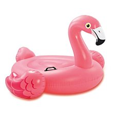 INTEX 兒童/成人專用水上 螢光 浮排 漂浮 充氣墊 D00280 歷史價格詳細信息