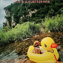 小黃鴨游泳圈3個月-3歲小月齡寶寶免充氣防側翻兒童腋下趴圈 歷史價格詳細信息