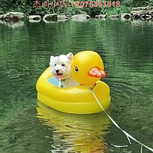 游泳圈炫黃雙人游泳圈情侶閨蜜浮圈浮排創意網紅躺床大人加大充氣救生圈救生圈 歷史價格詳細信息