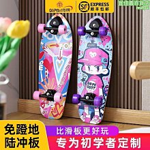 琦牌 國潮陸地沖浪板 滑板S8彈簧橋專業免蹬地刷街初學者防水耐磨 歷史價格詳細信息