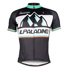 預購【ILPALADINO】男款短袖車衣 :: 聖騎士 楓葉 歷史價格詳細信息