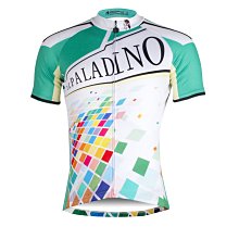 【PALADIN】抗UV超鏡面棕櫚蠟(鍍膜蠟/鏡面蠟/蠟/汽車蠟/洗車蠟G58消光拋光蠟清潔蠟) 歷史價格詳細信息